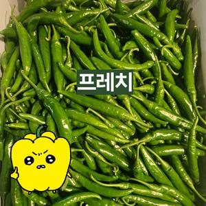 프레치 국내산 햇 청양고추 땡초 1kg