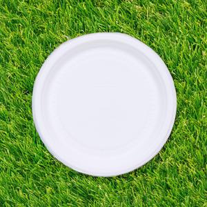 일회용 종이그릇10P 자연분해 친환경접시 축제 행사 야시장 접시