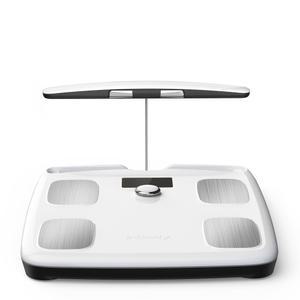 인바디 InBodyFit NEW 가정용 체중계 체지방계