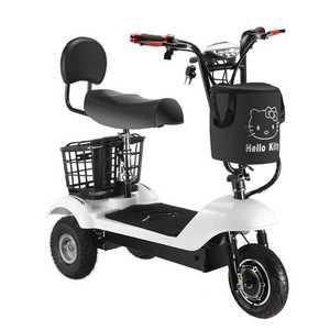 세발 전기자전거 삼륜 바이크 출퇴근 오르신용 접이식