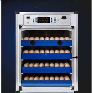 병아리 인공 부화기 알 사육장 계란 온도조절 가정용