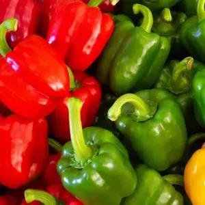 국내산 빨강 홍 피망 상품 500g