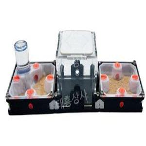 애완 개미집 사육장 채집통 상자 여왕 애완용 케이지 개미 세트