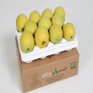 봉화 황금사과 시나노골드2.5kg(10과~12과)