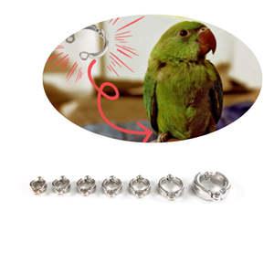 조류 앵무새 사랑앵무 야외 외출 산책 발목링 다리 발목 오링 고리 미아방지 네임택 새링 앵무새링 반지
