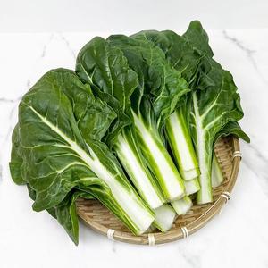 국내산 근대 쌈채소 근댓국 나물채소 1kg