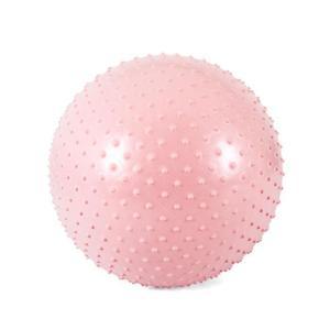 [HYEFF67J_55]헬스짐볼 PVC 마사지짐볼(색상선택)65cm