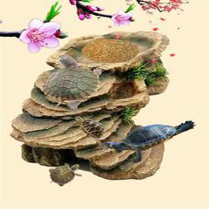 거북이 쉼터 육지 반수생 은신처 놀이터 테라스 등반 장식