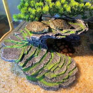 거북이 육지 거북이키우기 쉼터 탈출 거북이키우기좋은 A타입 달팽이키우기 일광욕육지