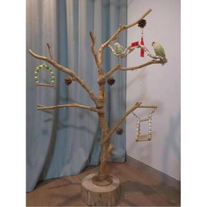 앵무새 놀이터 용품 횟대 브래킷 더블에프 10m 나무토막 나무가 핑크 좋은 모란앵무