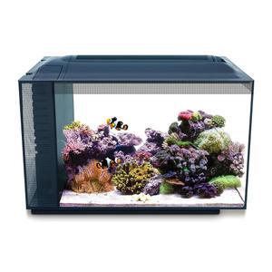 Fluval SEA 10531A1 EVO XII 아쿠아리움 키트, 13.5갤런
