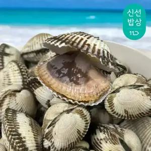 국내산 제철 벌교 꼬막 남해안 새꼬막 특품 / 새꼬막 상품 5kg