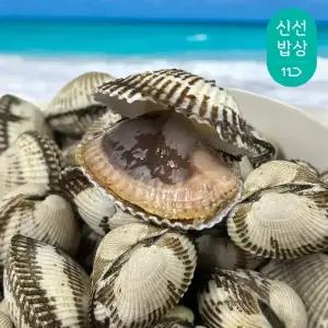 국내산 제철 벌교 꼬막 남해안 새꼬막 특품 / 피꼬막 3kg