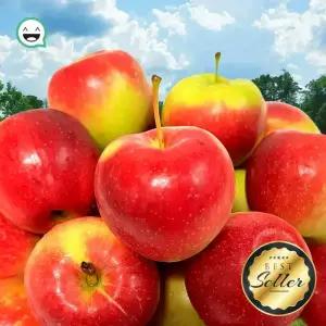 루비에스 미니 사과 고당도 제철과일