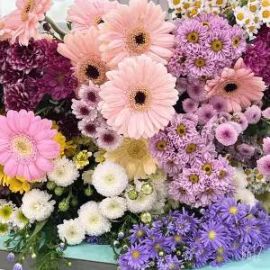 [꽃님이] 소국 컬러믹스 생화 꽃 시장 구독 세트