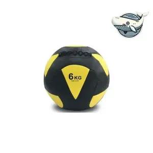운동용 반질 스 볼 6kg 피트니스 스트렝스