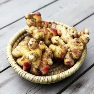 [블루밍그린] 국내산 흙생강 2kg