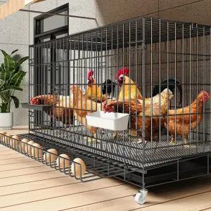 조립식 닭장 케이지 철망 토끼 하우스 만들기 오리