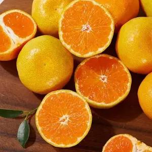 제주 햇 노지감귤 3kg(소과 2S)