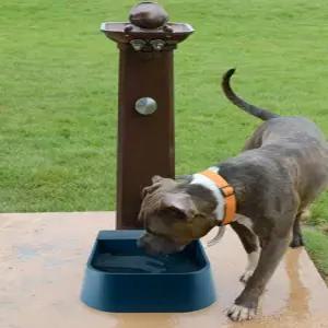 얼지않는 닭물통 닭장 난방 열선 사계절 음수대 물그릇 물통 병아리 반려견 모이통 급수기 야