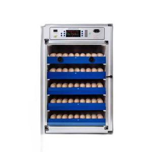 대량 알부화기 유정란 인큐베이터 병아리알