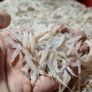 연안 동백하 새우 1kg