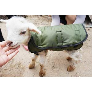 염소 방한복 패딩 조끼 송아지조끼 일체형 농장 송아지패딩 점퍼 농가 골드 송아지방한복