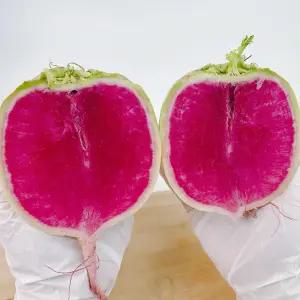 국내산 무우 수박무 3kg 못난이