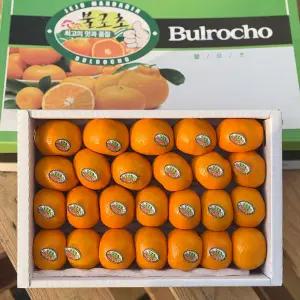 [더달과일] 제주 불로초 감귤 1.5kg / 3kg 프리미엄 로얄과 선물용