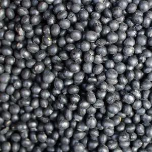 국산 약콩 쥐눈이콩 5kg