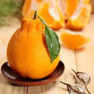 당일수확 제주 고당도 제철 한라봉 3kg 한라봉 선물세트 1.5kg