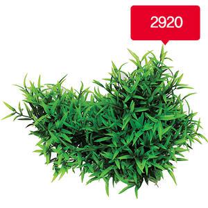[올블루]인조수초/수족관장식/와이드/2920/조화/수초장식용품/어항장식/구피어항/어항세트