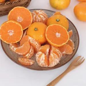 제주도 서귀포 조생 감귤 중대과 9kg 실중량 당도보장 프리미엄 효돈감귤