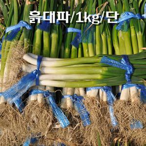 꼬레촌조미 파(흙대파)최상품 1kg/단
