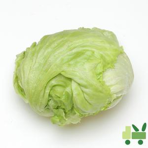 양상추 (12봉) 6Kg