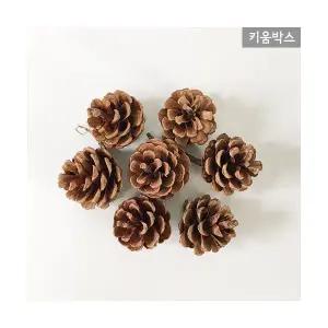 키움박스자연 솔방울 크리스마스 장식 천연 가습기 1kg (약50~60개입)