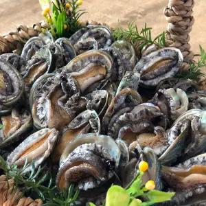 라면전복 40~70미 1kg