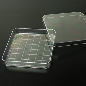 사각페트리디쉬(샬레)/10개세트/JS-44187