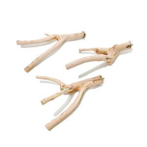 커피나무 횃대(대)가지형 앵무새횟대 단단튼튼 자연목