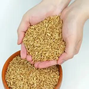 국내산 무농약 유기농 25년산 햇 잡곡 귀리 1kg