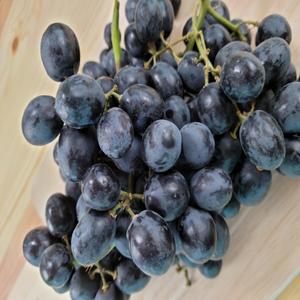 블랙아도라 고당도세이블 블랙포도 5봉지 8봉지