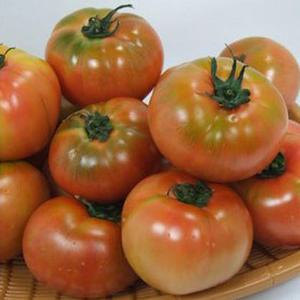 행복한 농부 정품 찰토마토 3kg(1~5번과)