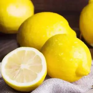 [농협6번]썬키스트/팬시레몬 10kg 중과 소과 선택가능