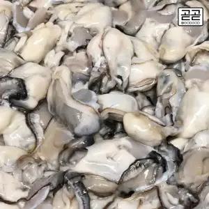 통영 생굴 제철 햇 횟감용 굴 2kg 통영굴