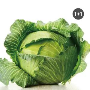 국내산 유기농 양배추 2kg (1+1/총4kg) 전남 무안