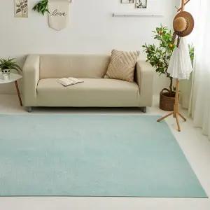 [애끌리아] 데일리 MC 극세사 사각 러그(170x230)