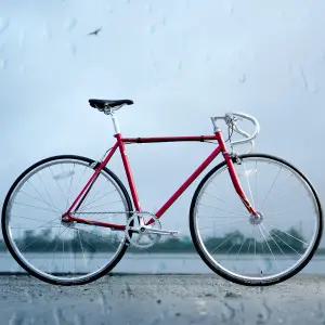 레이윤 이즈 크로몰리 픽시자전거 릿 레짓 700C 싱글기어 더블버티드 8kg대 반조립