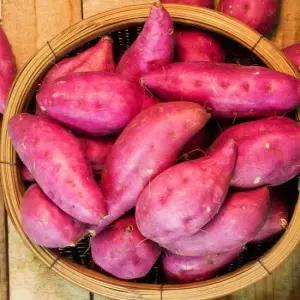 25년 햇 밤고구마 3kg(왕/대/튀김용)