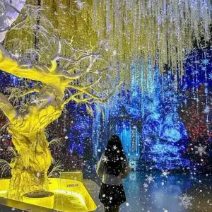 여수 녹테마레 종합권- 12월 연말 For you/전남/전라/미디어아트/전시/공연/가볼만한곳/뮤지엄/박물관/실내/데이트/해상케이블카/체험/키즈카페/테마파크