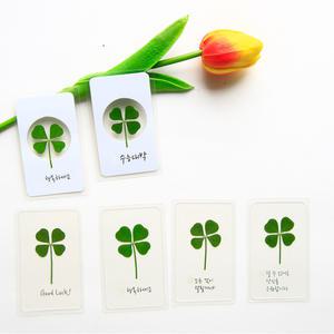 최고급 네잎클로버 생화 코팅 책갈피 카드 시즌2 행운 메세지 부적 합격 기원 응원 선물 클로바 크로바